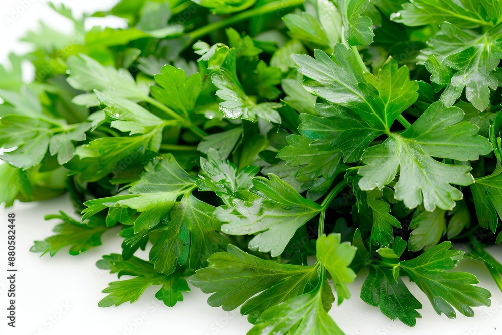 Fresh green parsley leaves close up on white background Fresh green parsley leaves close up on white background