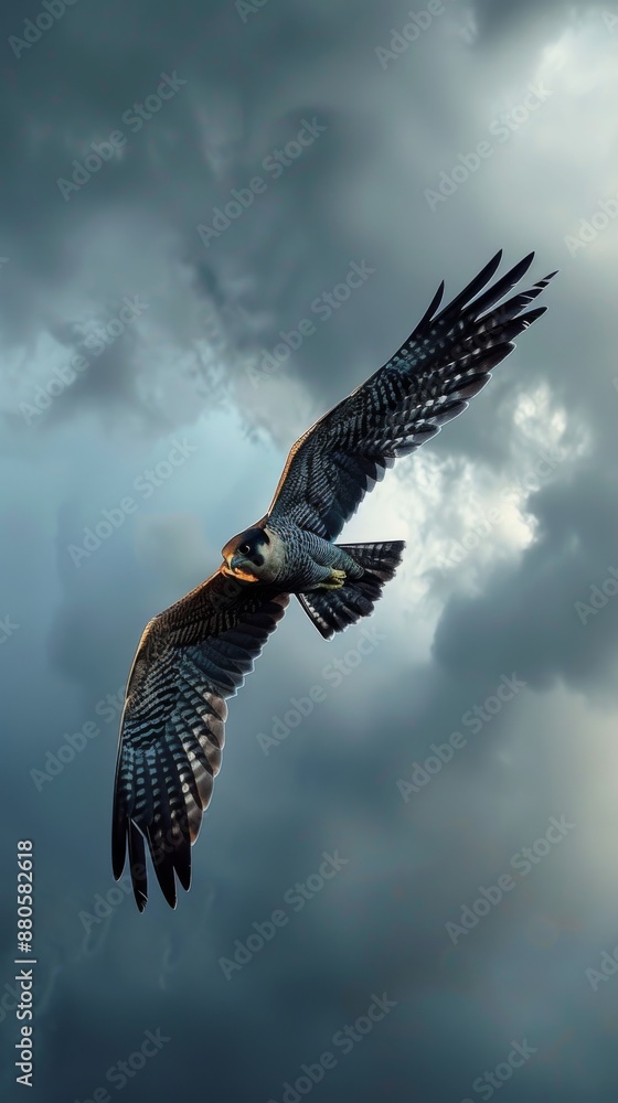 Obraz premium Peregrine falcon is flying through a cloudy sky with its wings outstretched, demonstrating the power and grace of these birds