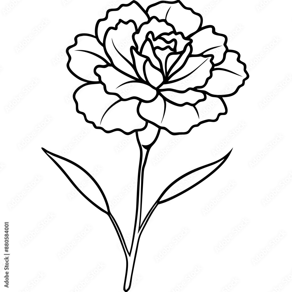 Obraz premium Line art of Carnation flower 