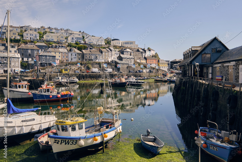 Fototapeta premium Mevagissy