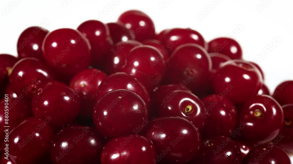 Cherry on white background. Perfect retouched cherries. Cherri full depth of field. Cherry on white background. Perfect retouched cherries. Cherri full depth of field.