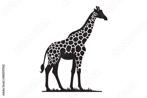  Giraffe set Animal Silhouettes vector illustration - Generative AI