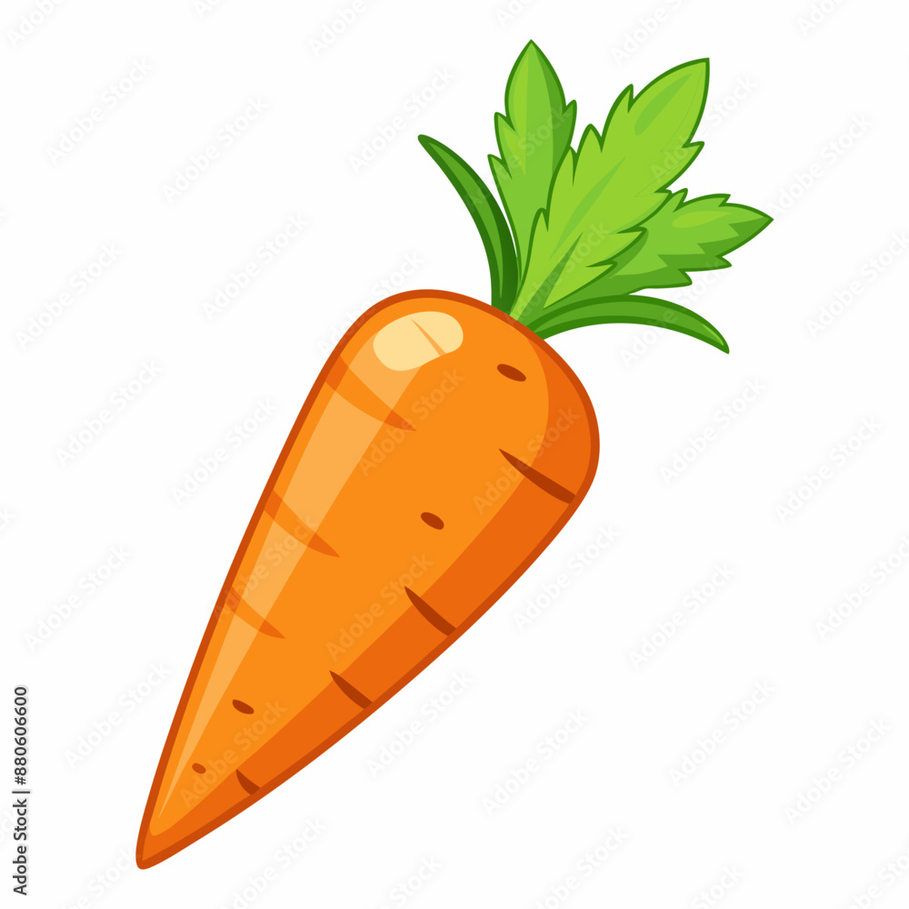 carrot vector illustration on white background carrot vector illustration on white background