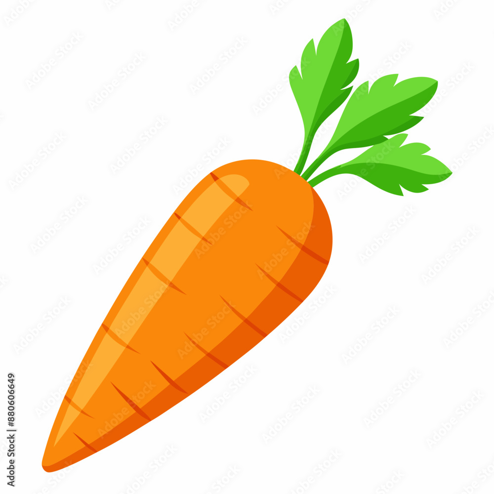 carrot vector illustration on white background carrot vector illustration on white background
