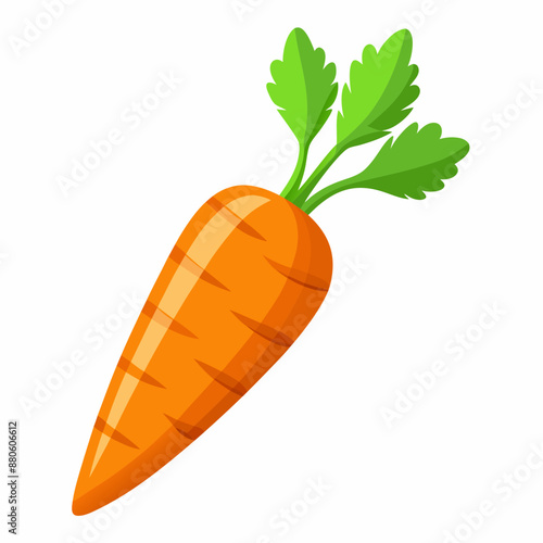 carrot vector illustration on white background