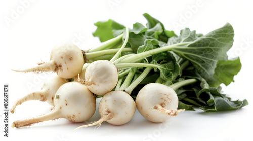 Fresh white turnips with green leaves