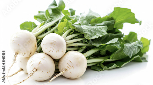 Fresh white turnips with green leaves