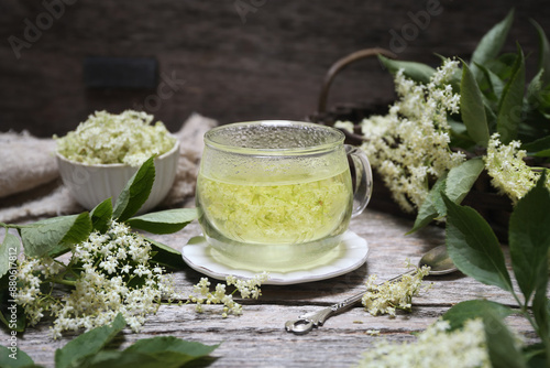 Elderflower tea. Cup of healthy herbal infusion of elderberry flowers