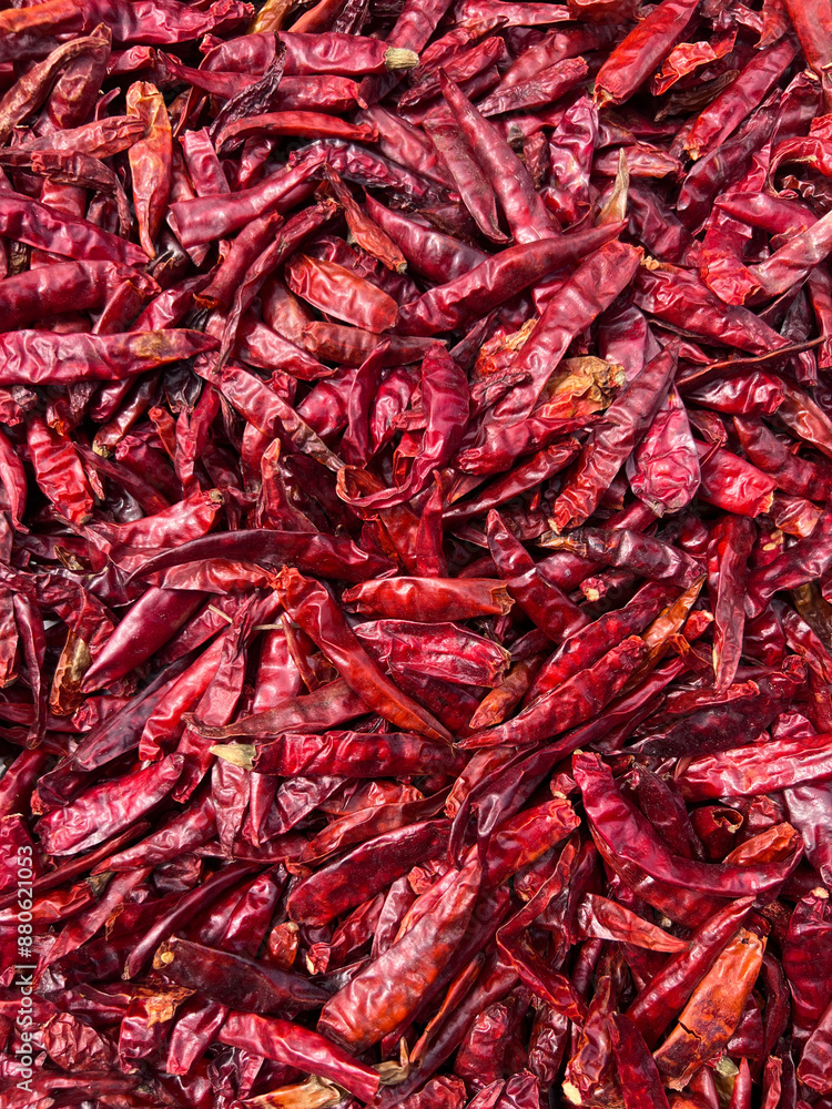 Fototapeta premium Red chilli, dried, full background Ready to process from the remaining