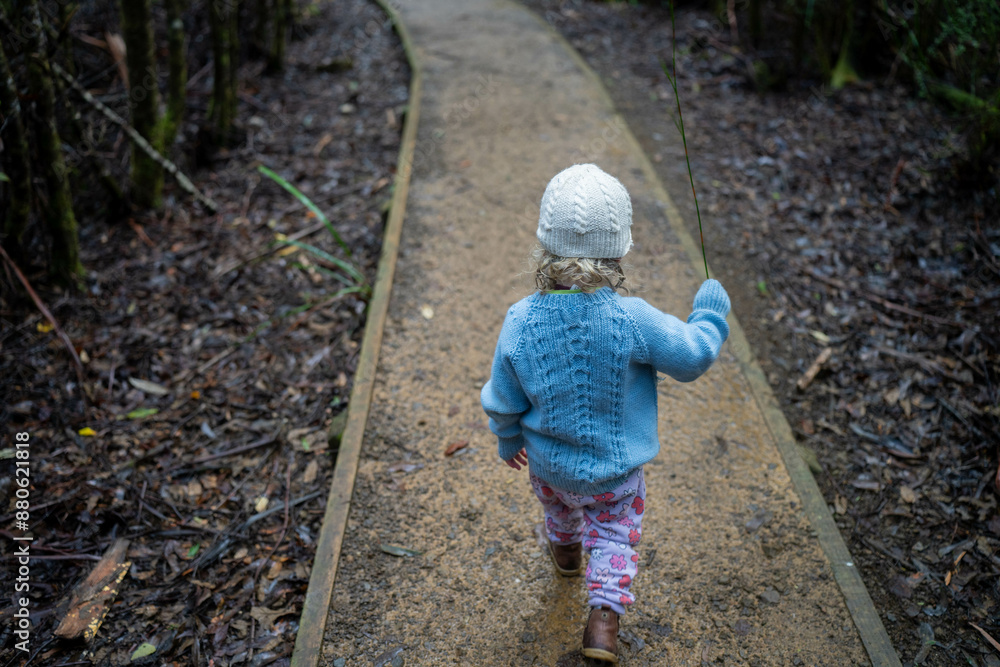 toddler hiking in the forest in winter wearing a beanie, walking on a trail in the australian bush. child exploring in nature and studying the environment and learning while exploring toddler hiking in the forest in winter wearing a beanie, walking on a trail in the australian bush. child exploring in nature and studying the environment and learning while exploring