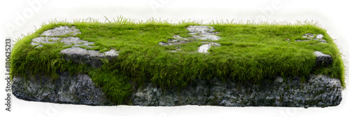 This detailed image features a realistic portrayal of mossy grass growing on top of a rock, set against a white background. The vibrant green moss and grass.