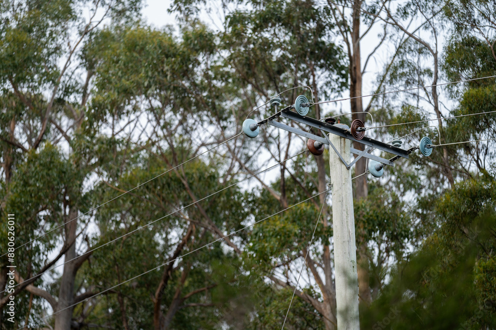 Fototapeta premium power poles and power lines in the forest being a fire risk