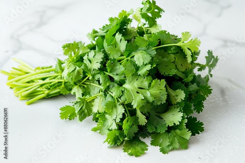 Fresh green cilantro bunch on a white marble countertop