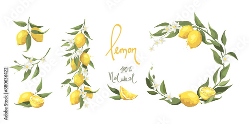 Summer set with lemon branch. Design elements with citrus fruits and flowers, vector illustrations for label in watercolor style.	