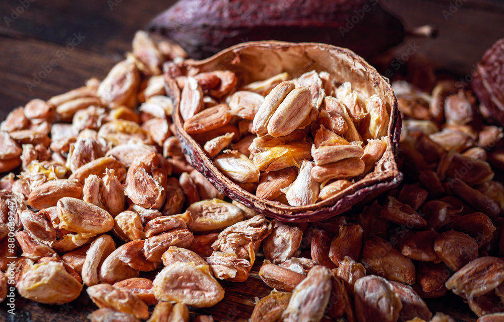 Cocoa beans and dried cocoaseed