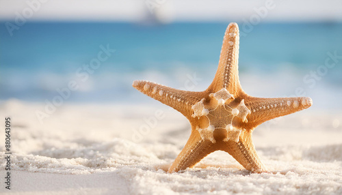 Close-up of sea star shell on clean sand. Sea or ocean shore. Summer vacation.