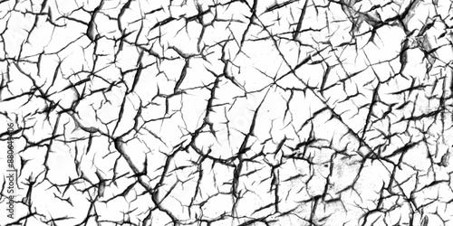 The cracks texture white and black. The texture of cracks. Cracked earth. Black and white vector illustration. Abstract grunge texture. two different images of cracked and dry land ground,.