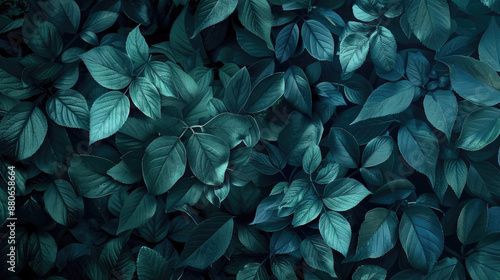 Wallpaper Mural Posh Dark Green Leafy Pattern Torontodigital.ca