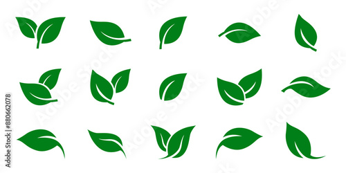 Green leaf icons set. Leaves icon on isolated background. Collection green leaf. Elements design for natural, eco, vegan, bio labels. Vector illustration EPS 10