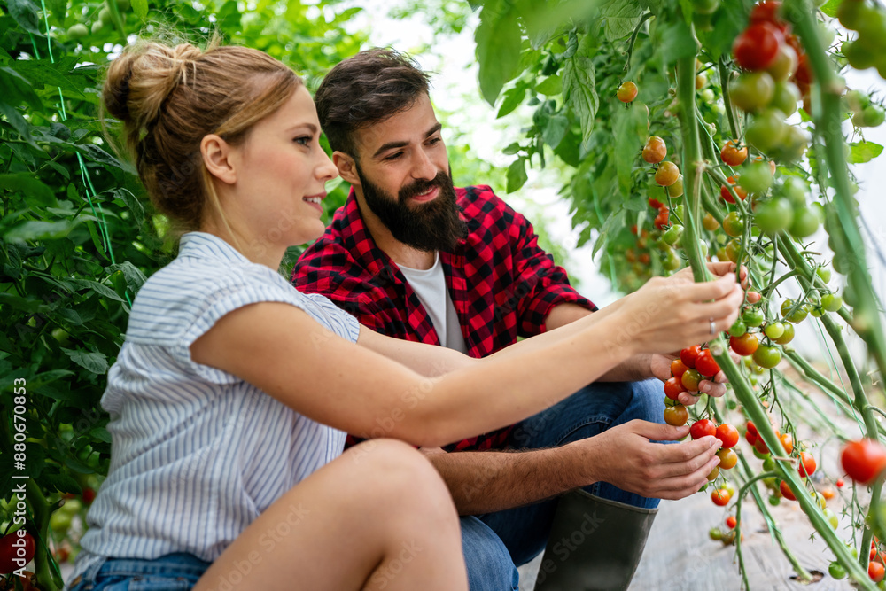 Φωτογραφία Successful farm family, couple engaged in growing of organic vegetables in hotho