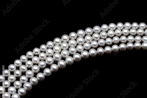 Chinese round freshwater white pearls on strands ready to become a necklace, some of the favorite materials for jewelry on black background. An organic gem that brides love for weddings.