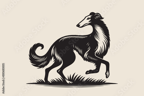 Borzoi dog walk. Russian Wolfhound. Russian Hunting Sighthound. Vintage black engraving illustration. Icon, logo, emblem. Isolated object	