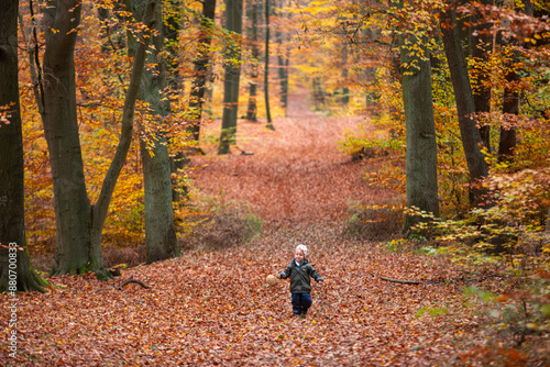 Kleinkind beim Pilzesammeln mit der Familie photo