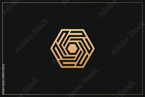 Hexagon Digital Multimedia Brand Logo