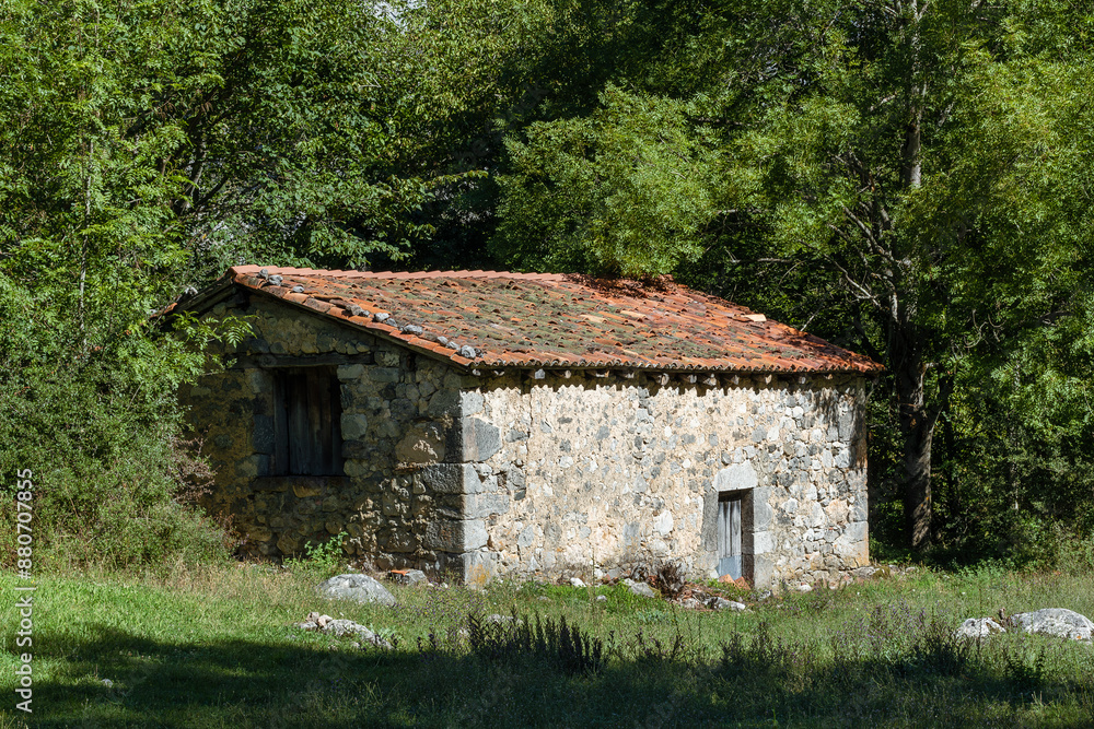 old house in the woods old house in the woods