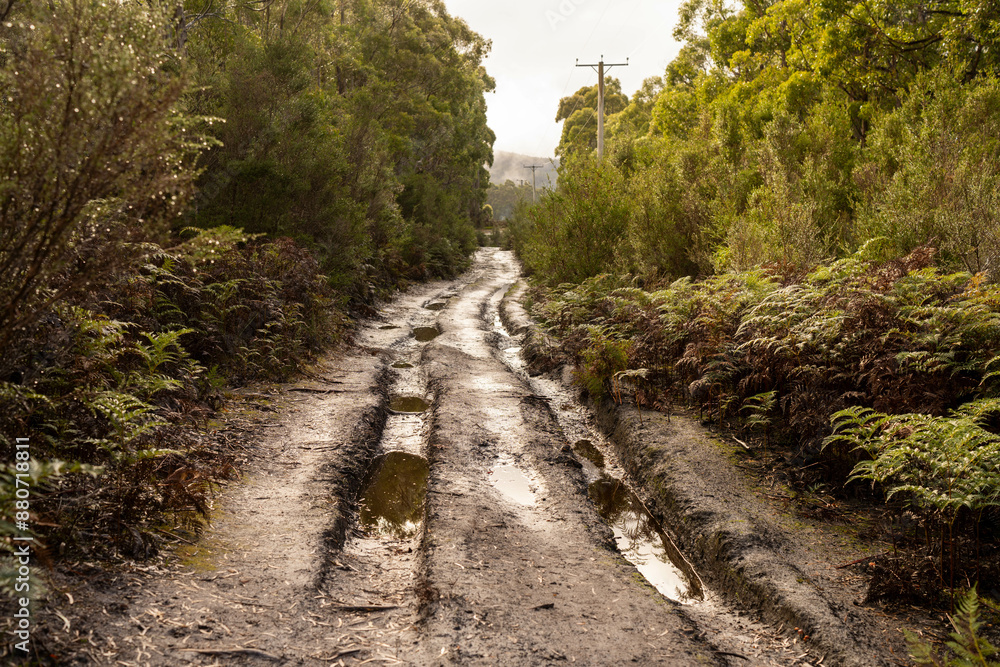 muddy dirt road in off the track in australia muddy dirt road in off the track in australia