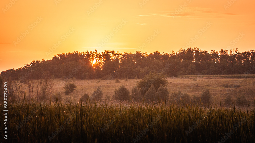 Fototapeta premium bright yellow dawn behind the trees, above the foggy lake