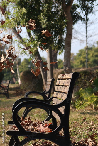 bench in autumn park