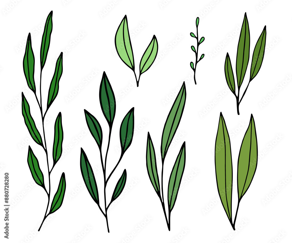 Naklejka premium Designer elements set collection of green leaves, greenery art foliage natural leaves herbs. Decorative beauty elegant illustration for design