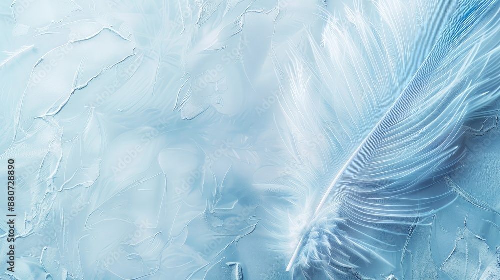 Soft feather on pale backdrop for design with blue hue and space for text Soft feather on pale backdrop for design with blue hue and space for text
