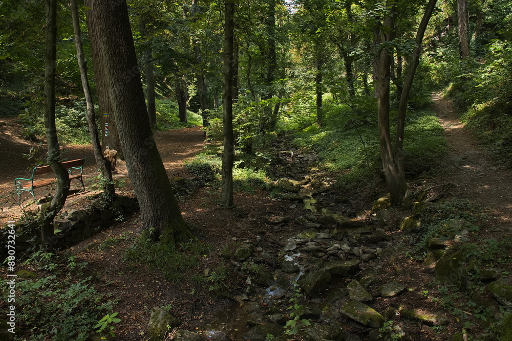 Hiking track at the creek Hiking track at the creek