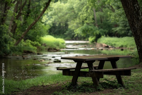Picnic Table by a Shaded Stream. A picnic table situated by a shaded stream, with a softly blurred background of trees and water. 