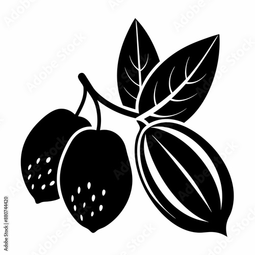 Elegant Almond Berry Silhouette Black Vector Illustration for Designers photo