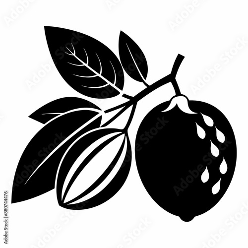 Elegant Almond Berry Silhouette Black Vector Illustration for Designers photo