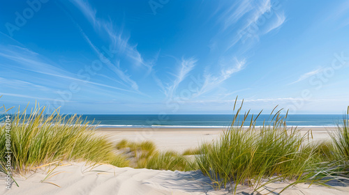 Dune beach panorama in summer