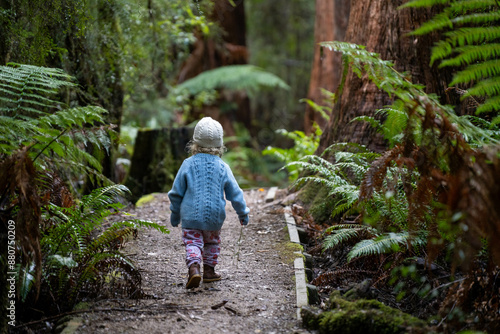 Quadro su tela toddler hiking in the forest in winter wearing a beanie, walking on a trail in the australian bush