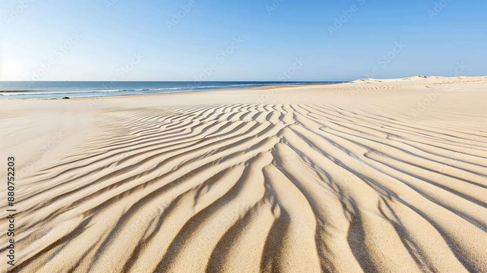 Naklejka premium Ripples in the sand