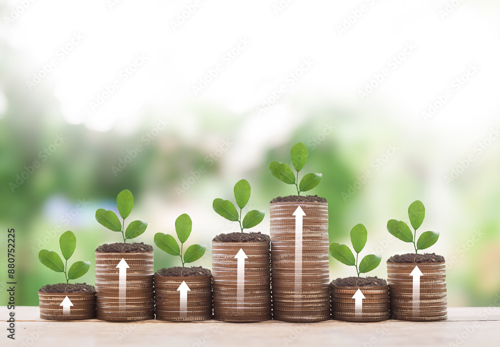 Plants growing up on stack of coins with arrow rising up. The concept of saving money, Financial, Investment and Business growing