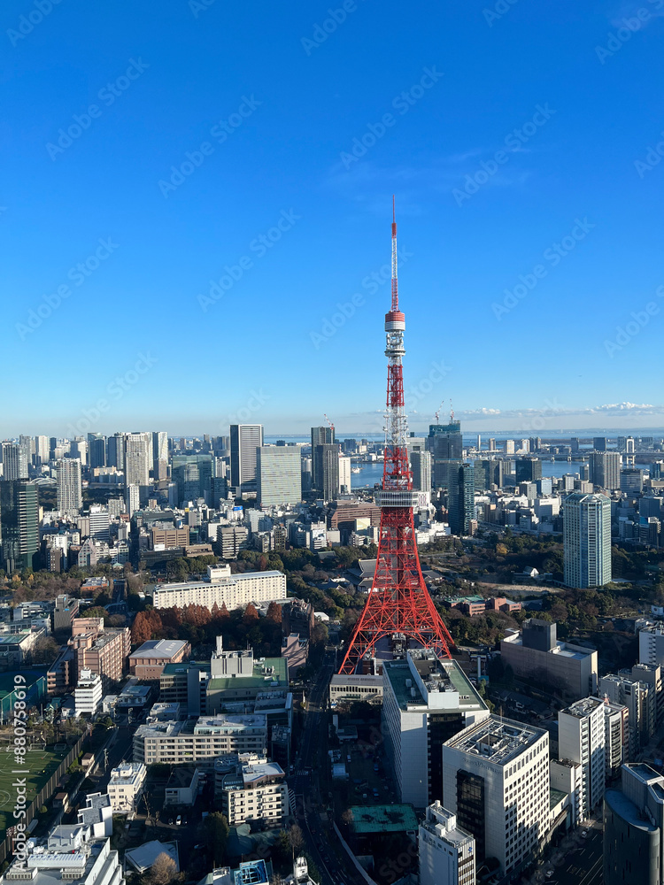 Obraz premium 東京タワーと東京の風景