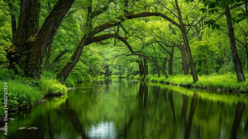 Tranquil Green River in a Lush Forest.