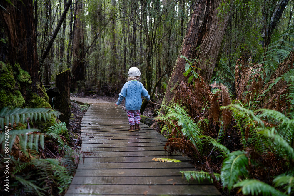 toddler hiking in the forest in winter wearing a beanie, walking on a trail in the australian bush. child exploring in nature and studying the environment and learning while exploring toddler hiking in the forest in winter wearing a beanie, walking on a trail in the australian bush. child exploring in nature and studying the environment and learning while exploring