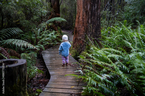 toddler hiking in the forest in winter wearing a beanie, walking on a trail in the australian bush. child exploring in nature and studying the environment and learning while exploring