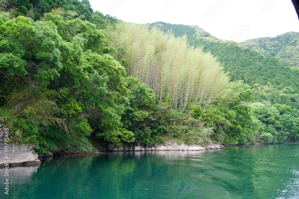 A view of the Shimanto River's riverbanks and fresh green trees