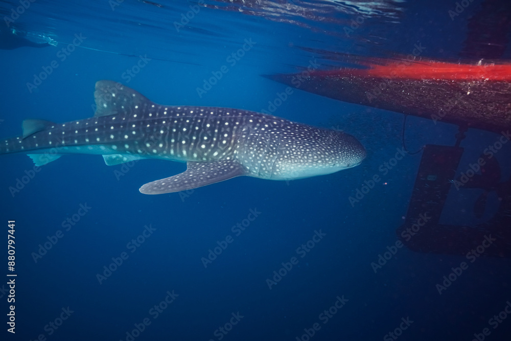 Maldives 2023 Maldives 2023