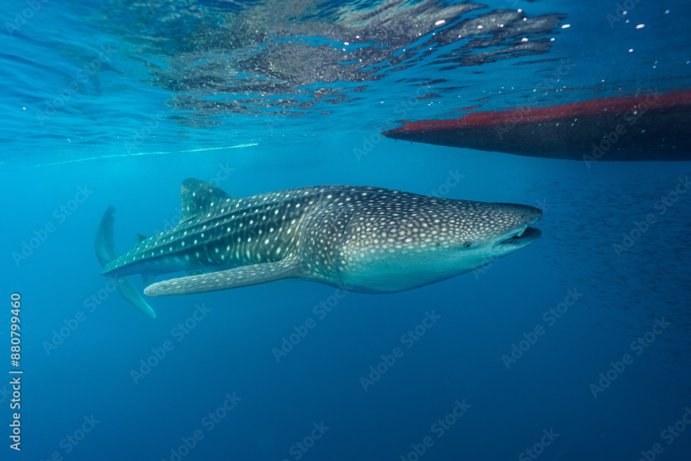 Maldives 2023 Maldives 2023