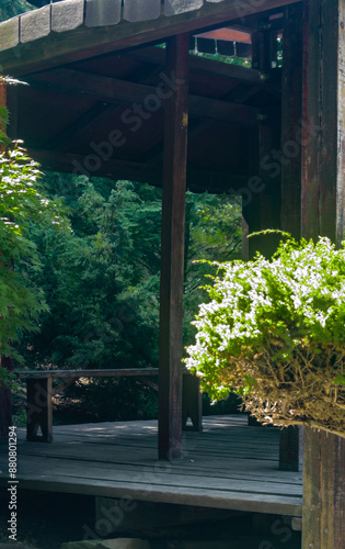 Inside the gazebo in the Asian style in the middle of the forest photo